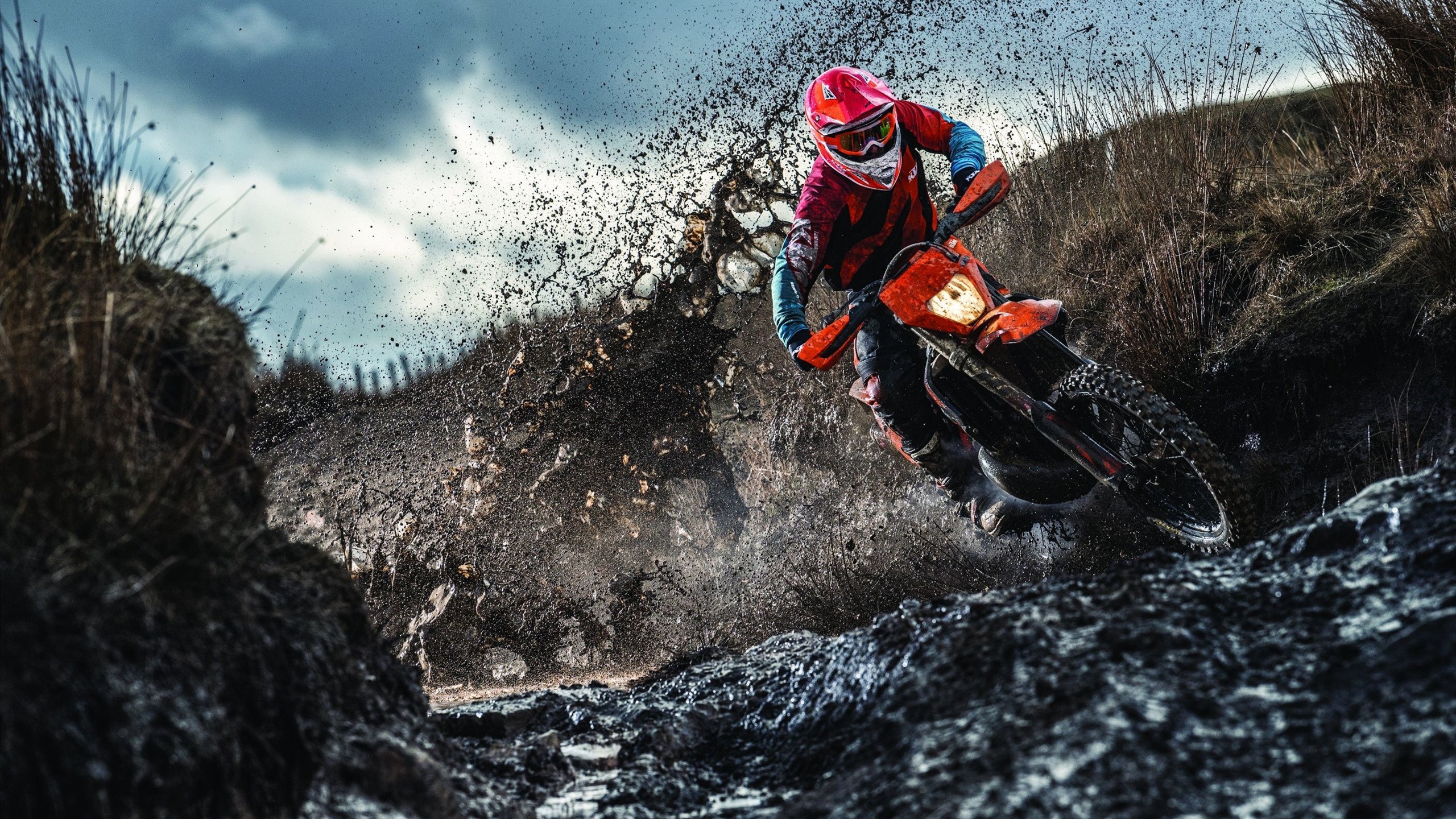 世锦赛巅峰对决,新王登基还是旧王朝延续?