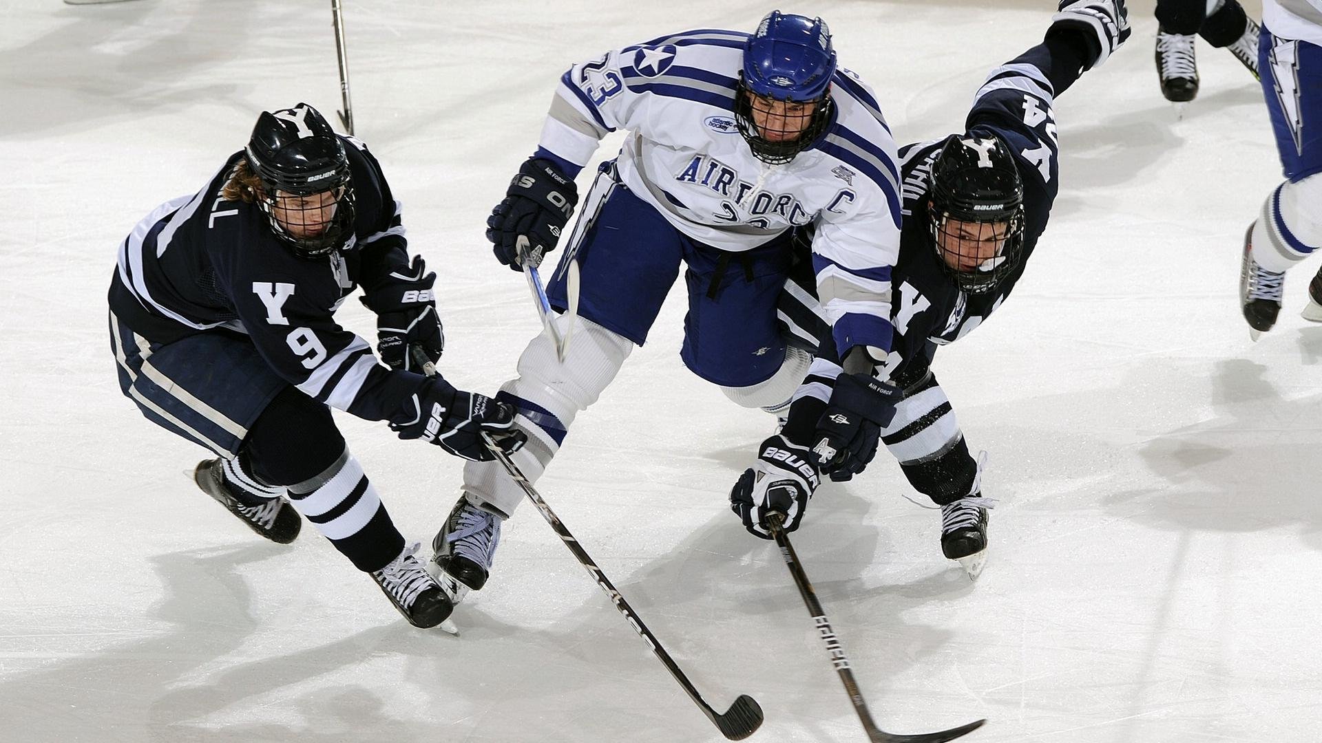 体育慈善盛典圆满落幕 众星携手助力公益事业