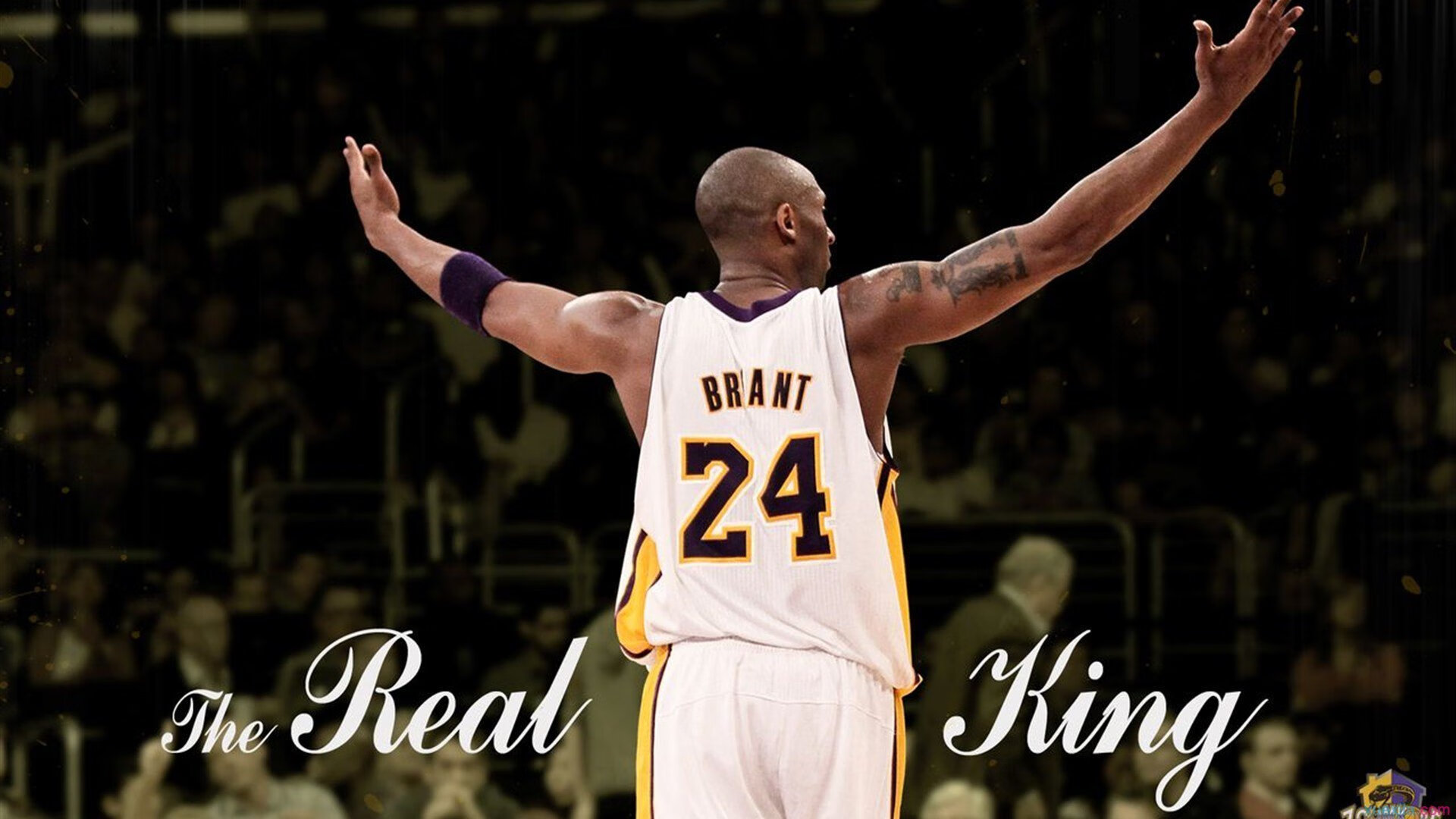 美网巅峰对决,新星闪耀与传奇延续的网球盛宴